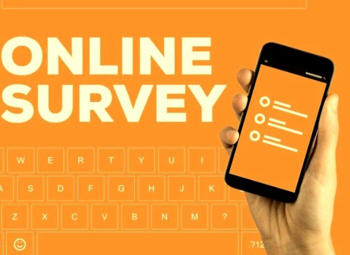 How to earn from online surveys