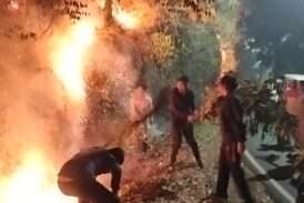 जंगल में आग लगाने वालों पर कठोर दंडात्मक कार्रवाई के दिए निर्देश