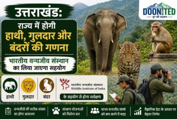 राज्य में वन विभाग हाथी, गुलदार और बंदरों का आकलन करेगा