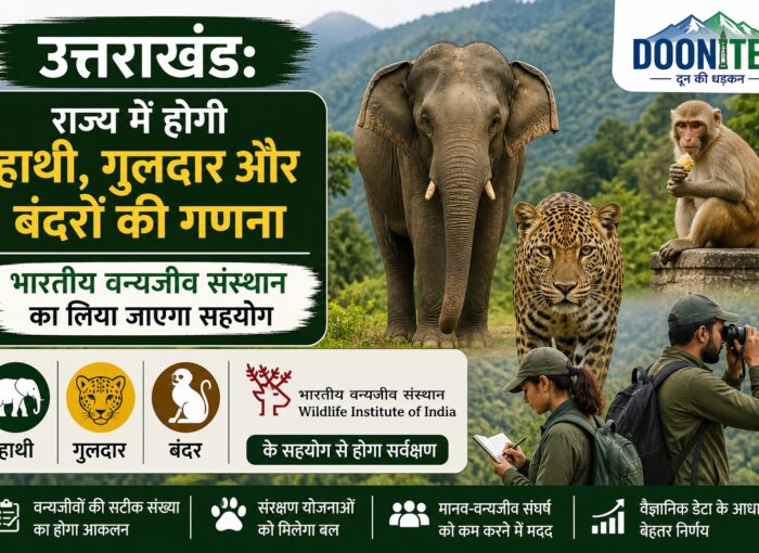 राज्य में वन विभाग हाथी, गुलदार और बंदरों का आकलन करेगा