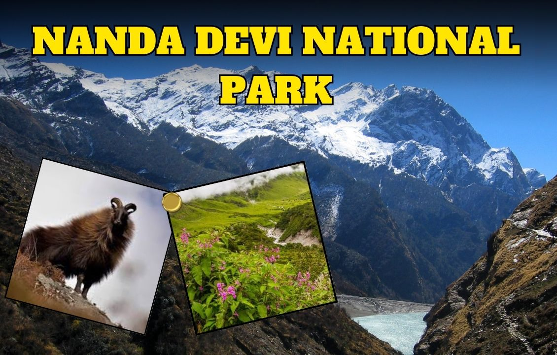 नंदा देवी राष्ट्रीय पार्क रूटों पर पंजीकरण ऑनलाइन होगा