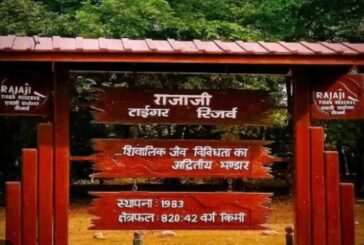 राजाजी टाइगर रिजर्व के वन गुर्जरों के भूमि आवंटन के नाम पर खेल हुआ