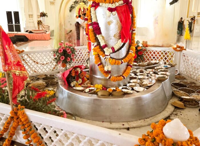 हरिद्वार में 5211 किलो वजनी विश्व के विशाल पारद शिवलिंग की प्राण प्रतिष्ठा