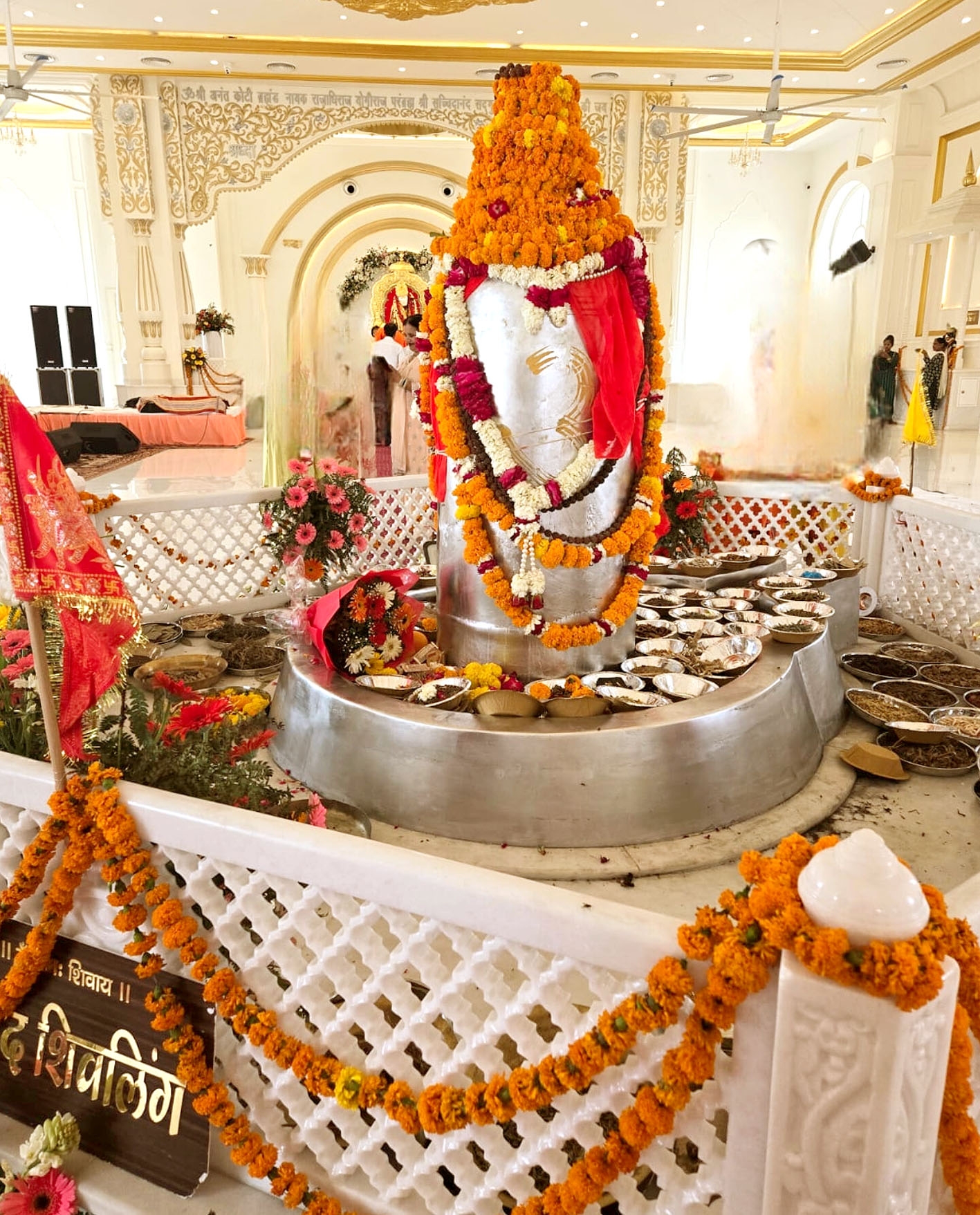 हरिद्वार में 5211 किलो वजनी विश्व के विशाल पारद शिवलिंग की प्राण प्रतिष्ठा