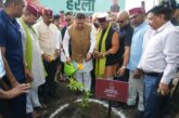 हरेला केवल पर्व नहीं, प्रकृति संरक्षण और सांस्कृतिक विरासत से जुड़ने का जनआंदोलन हैः मुख्यमंत्री