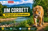 Jim Corbett National Park: Exploring Uttarakhand’s Legendary Wildlife Kingdom
