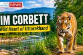 Jim Corbett National Park: Exploring Uttarakhand’s Legendary Wildlife Kingdom