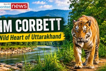 Jim Corbett National Park: Exploring Uttarakhand’s Legendary Wildlife Kingdom
