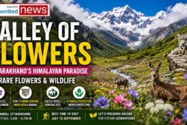 Valley of Flowers: Uttarakhand’s Himalayan Paradise